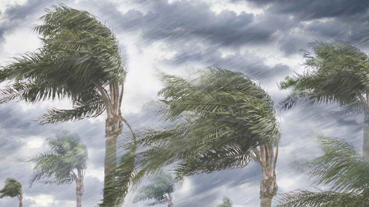 দেশে ৬০ কি.মি. বেগে ঝড়ের আভাস