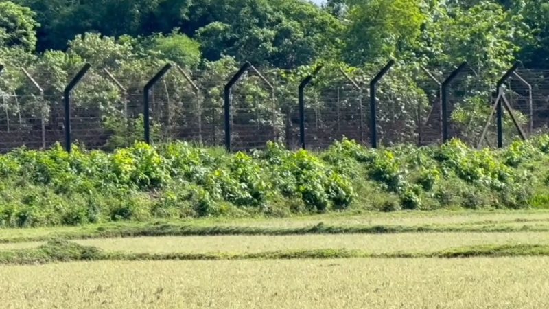বিএসএফের গুলিতে দুই বাংলাদেশি নিহত